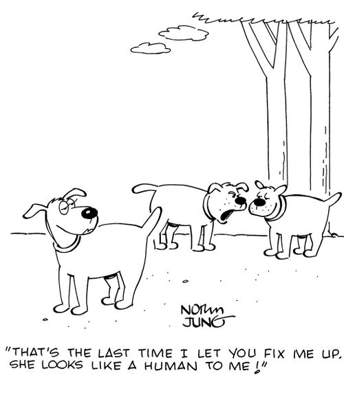 "That's the last time I let you fix me up. She looks like a human to me!"