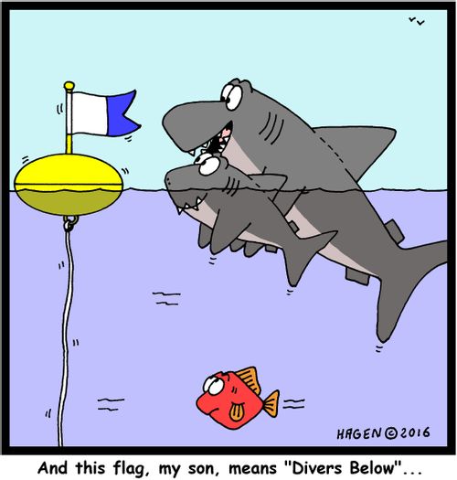 "And this flag, my son, means "Divers Below"..."