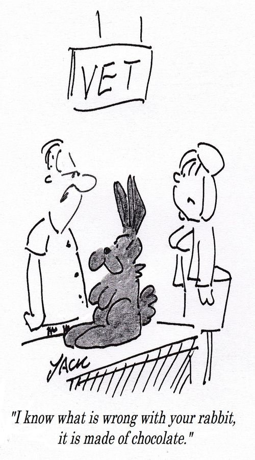 "I know what is wrong with your rabbit, it is made of chocolate."