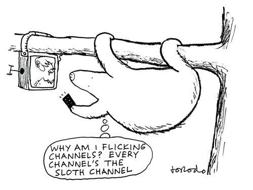 "Why am I flicking channels? Every channel's the sloth channel."