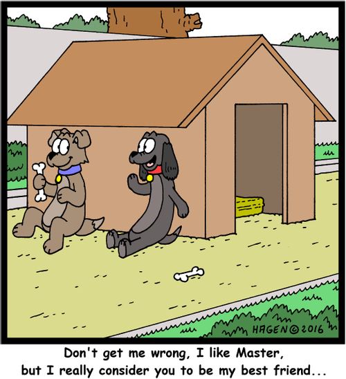 "Don't get me wrong, I like Master, but I really consider you to be my best friend..."