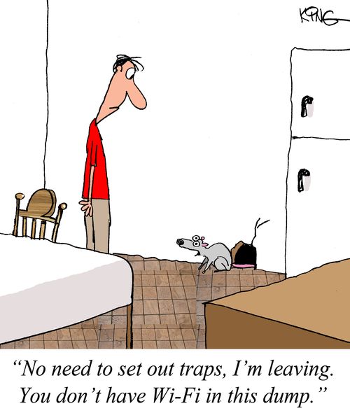 "No need to set out traps, I'm leaving. You don't have Wi-Fi in this dump."