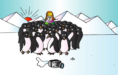 Woman is surrounding by penguins and can't reach her camera