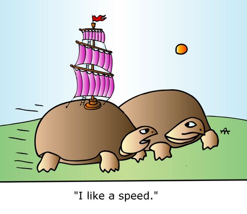 "I like a speed."