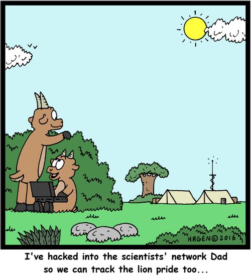 "I've hacked into the scientists' network Dad so we can track the lion pride too..."