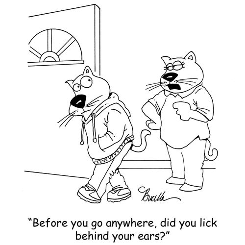 "Before you go anywhere, did you lick behind your ears?"