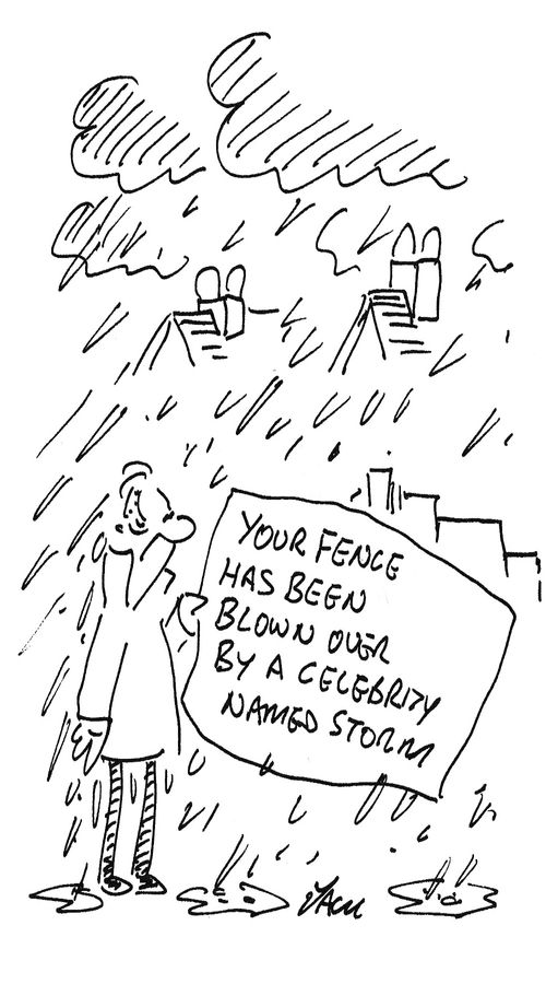 Your fence has been blown over by a celebrity named storm.