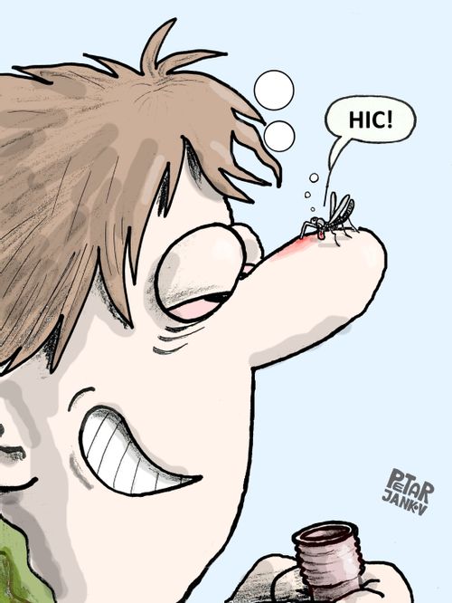 Dunk Mosquito