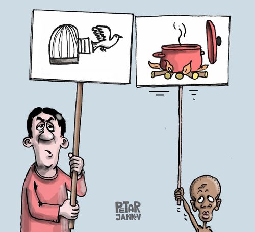 Animal and Human Rights