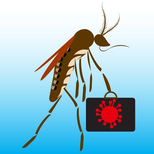 Zika Epidemic