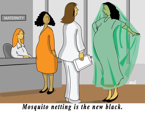 Mosquito netting is the new black.