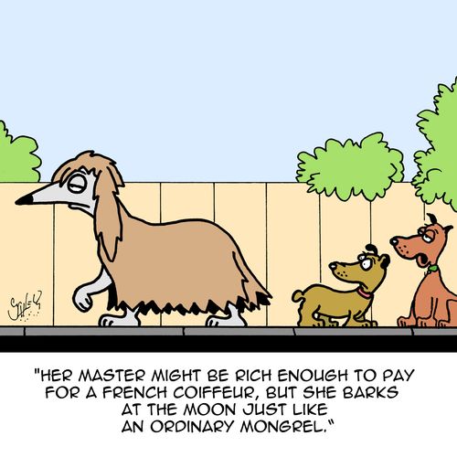 "Her master might be rich enough to pay for a French coiffeur, but she barks at the moon just like an ordinary mongrel."