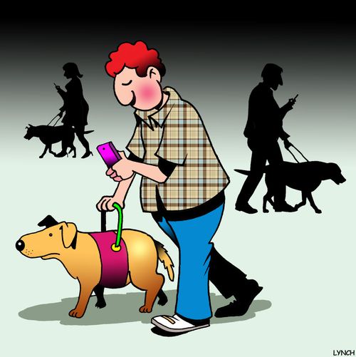People with phones using seeing eye dogs,
