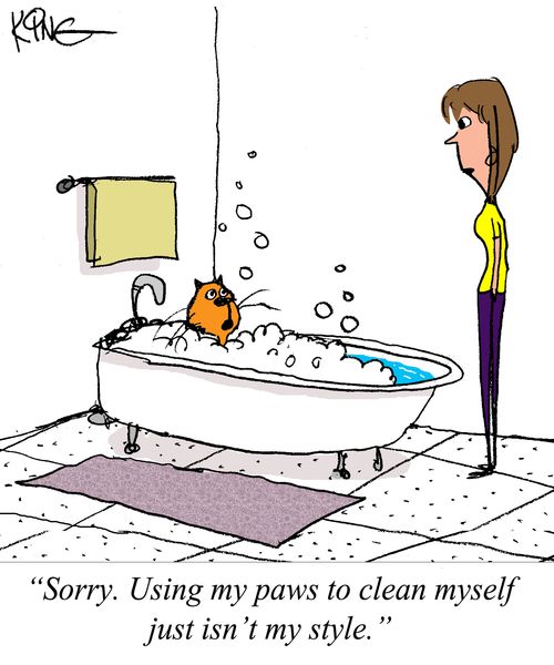 "Sorry. Using my paws to clean myself just isn't my style."