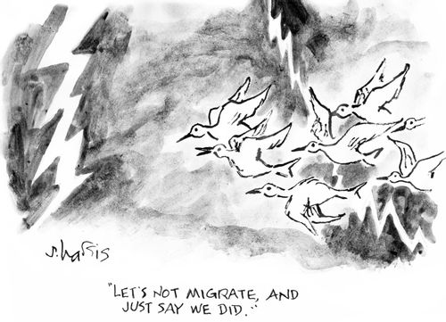 "Let's not migrate, and just say we did.;"