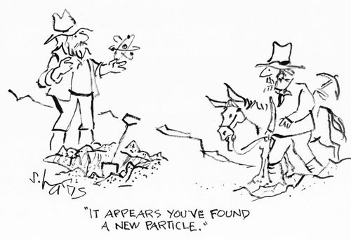 "It appears you've found a new particle."