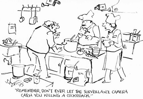 "Remember, don't ever let the surveillance camera catch you killing a cockroach."