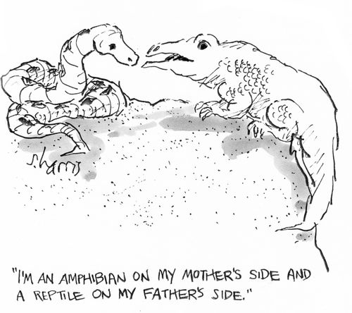 "I'm an amphibian on my mother's side and a reptile on my father's side."
