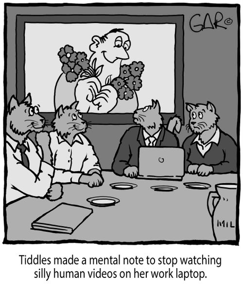 Tiddles made a mental note to stop watching silly human videos on her work laptop.
