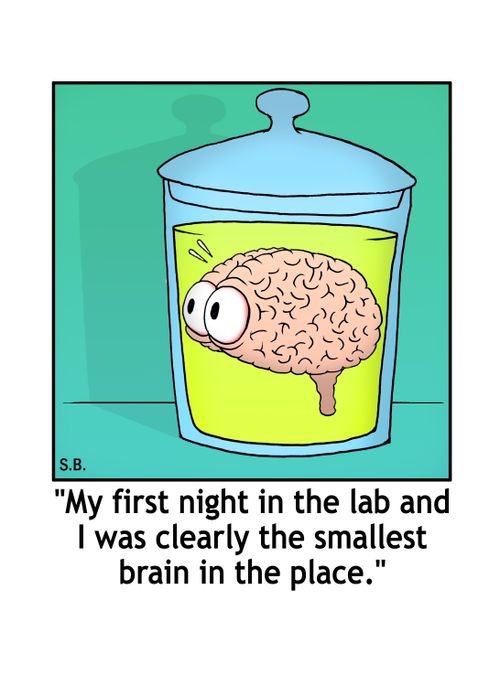 "My first night in the lab and I was clearly the smallest brain in the place."