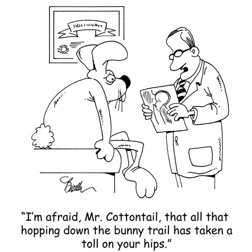 "I'm afraid, Mr. Cottontail, that all that hopping down the bunny trail has taken a toll on your hips."