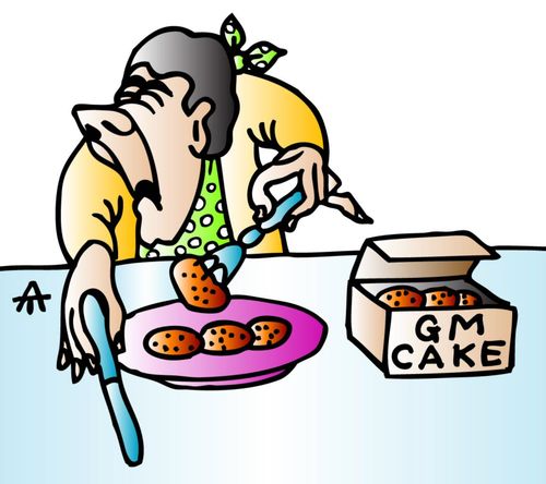 GM food