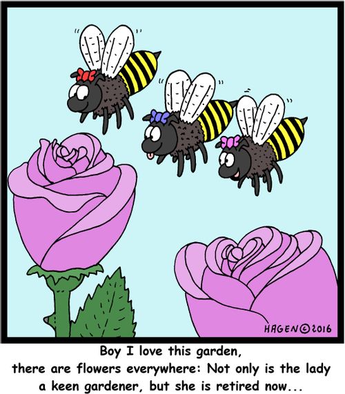 "Boy I love this garden, there are flowers everywhere: Not only is the lady a keen gardener, but she is retired now..."