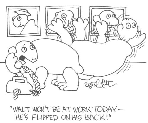"Walt won't be at work today - he's flipped on his back!"