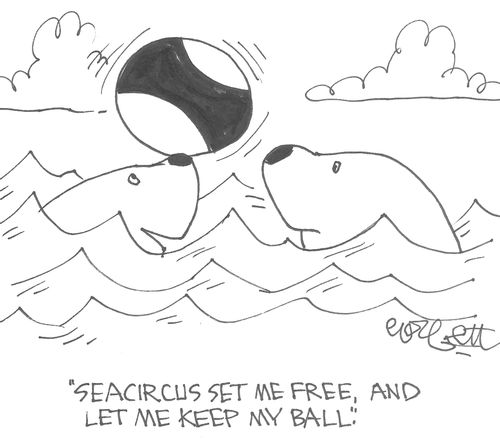 "Seacircus set me free, and let me keep my ball."