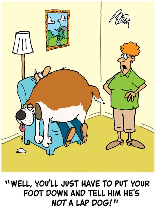 "Well, you'll just have to put your foot down and tell him he's not a lap dog!"