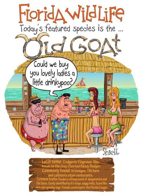 Florida Wildlife - Old Goat