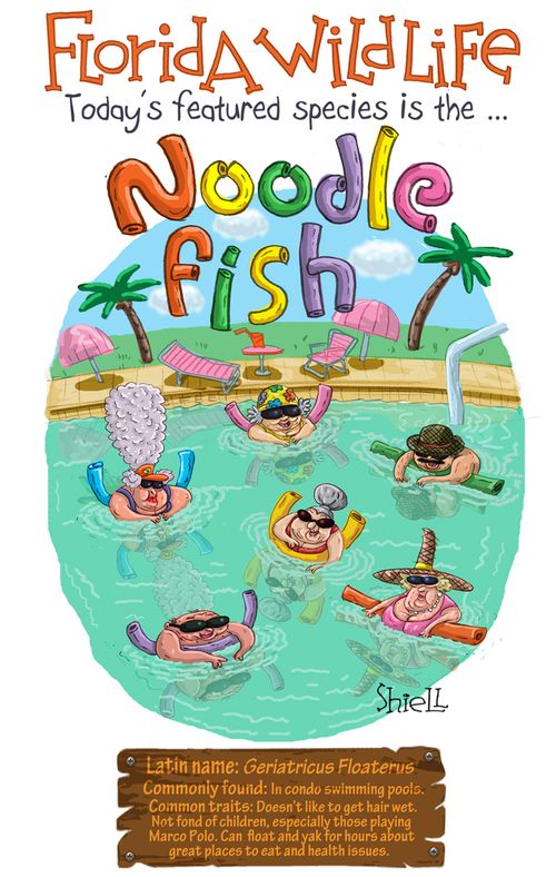Florida Wildlife - Noodle Fish