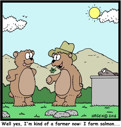 "Well yes, I'm kind of a farmer now: I farm salmon..."