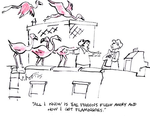 "All I know is the pigeons flew away and now I got flamingoes."