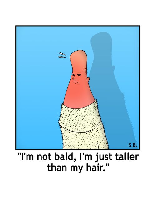 "I'm not bald, I'm just taller than my hair."