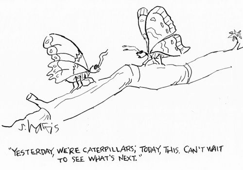 "Yesterday we're caterpillars, today this. Can't wait to see what's next."