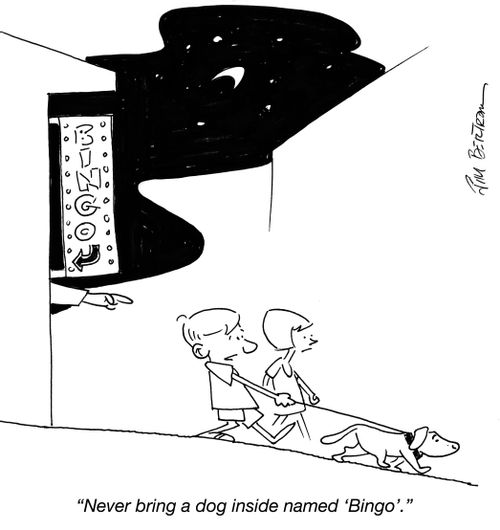 "Never bring a dog inside named 'Bingo'."