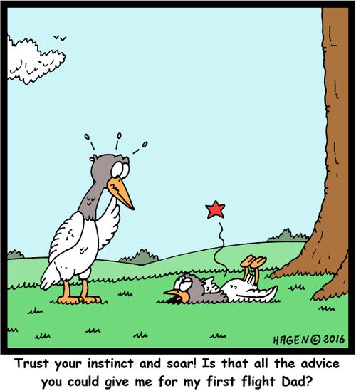 "Trust your instinct and soar! Is that all the advice you could give me for my first flight Dad?"