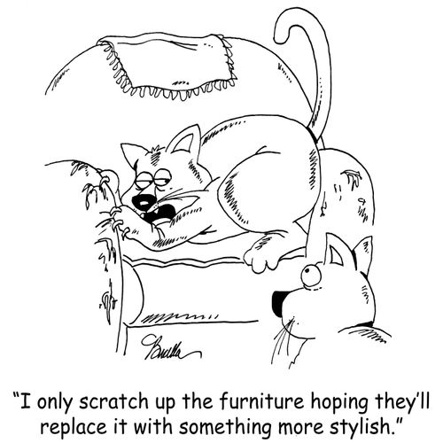 "I only scratch up the furniture hoping they'll replace it with something more stylish."