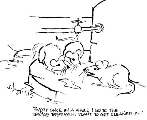 "Every once in a while I go to the sewage treatment plant to get cleaned up."