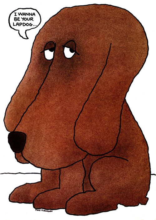 "I wanna be your lapdog."