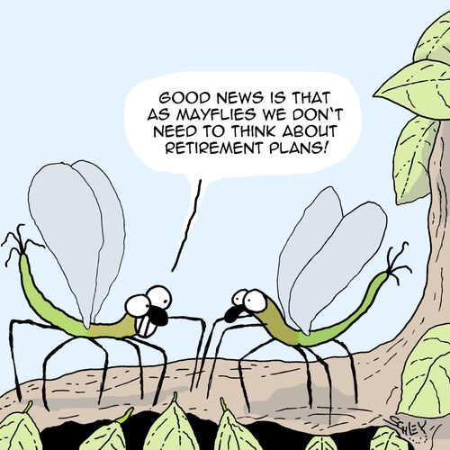 "Good news is that as mayflies we don't need to think about retirement plans!"