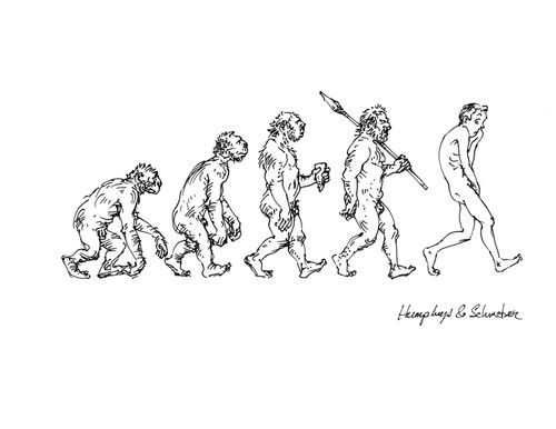 The Evolution Of Manhood