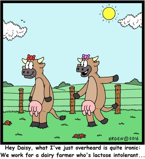 "Hey Daisy, what I've just overheard is quite ironic: We work for a dairy farmer who's lactose intolerant..."