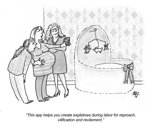 "This app helps you create expletives during labor for reproach, vilification and revilement."