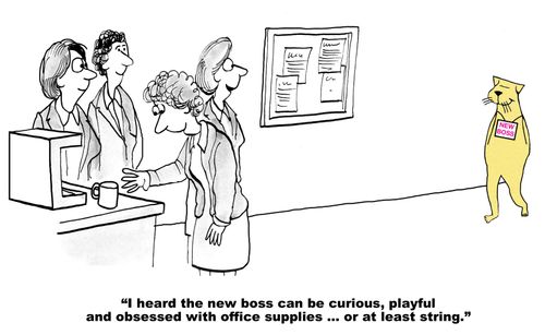 "I heard the new boss can be curious, playful and obsessed with office supplies...or at least string."