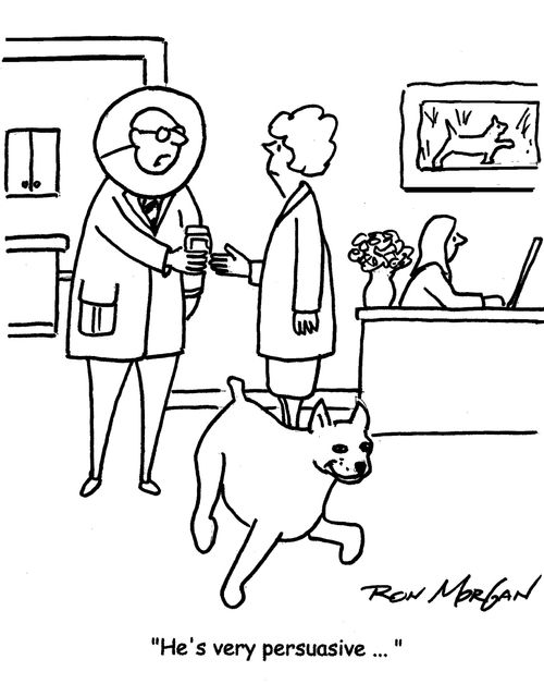 "He's very persuasive ... "