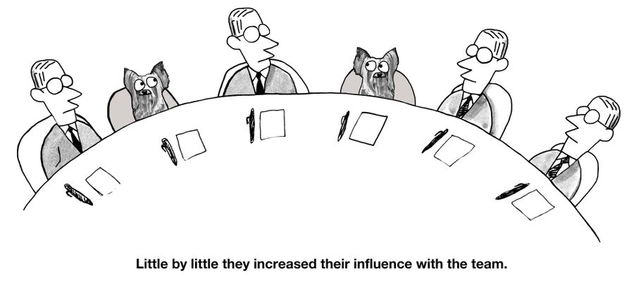 Little by little they increased their influence with the team.