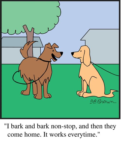 "I bark and bark non-stop, and then they come  home. It works everytime."