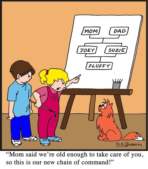 "Mom said we're old enough to take care of you, so this is our new chain of command!"